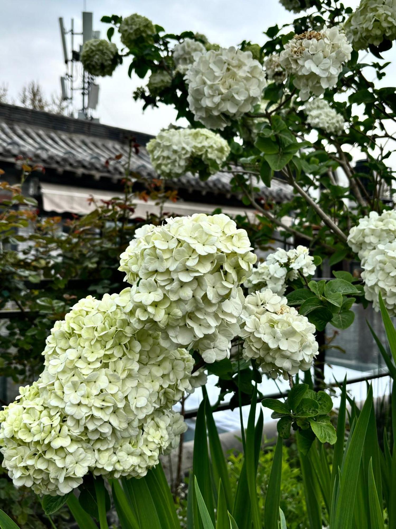 Honglu Garden Hotel Xi'An Bell And Drum Tower Huimin Street Store Kültér fotó